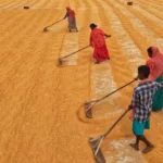 How-Commodity-Market-Works-in-India-A-Beginners-Guide-2025