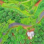 Agriculture-Infrastructure-Fund-Empowering-Farmers-and-Boosting-Rural-Economies