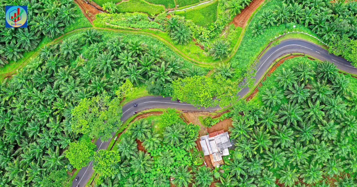 Agriculture-Infrastructure-Fund-Empowering-Farmers-and-Boosting-Rural-Economies